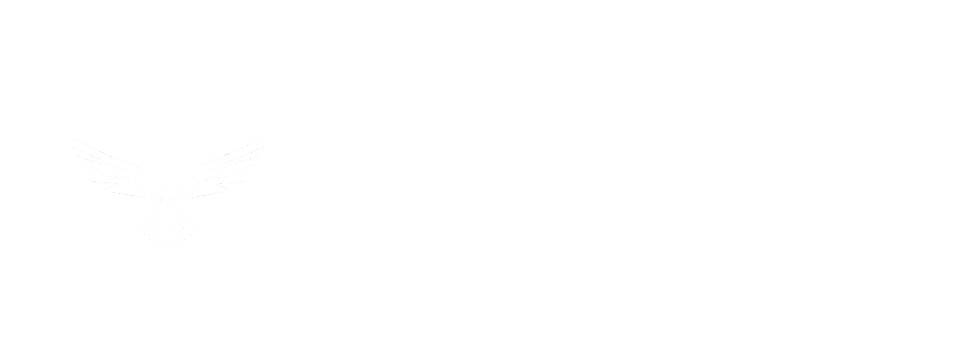 Protech International Services